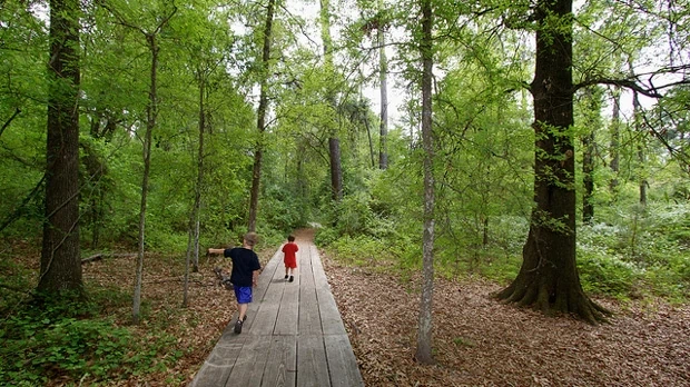 Outer Loop Trail, Houston 