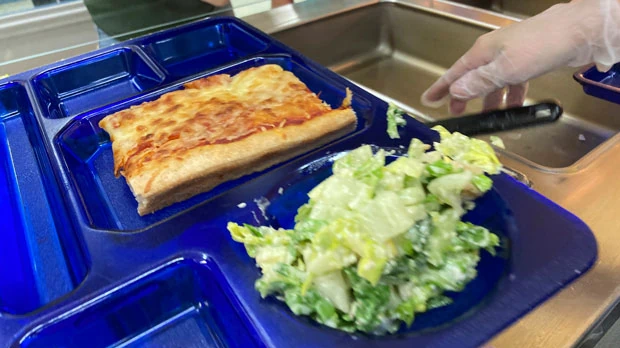 A student lunch of homemade pizza and caesar salad