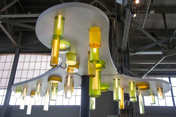 "Algae Chandelier" Image by Gayle Laird © Exploratorium, All rights reserved