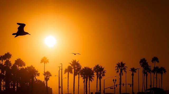"Huntington Beach Sunrise" by Ian D. Keating licensed under CC BY 2.0