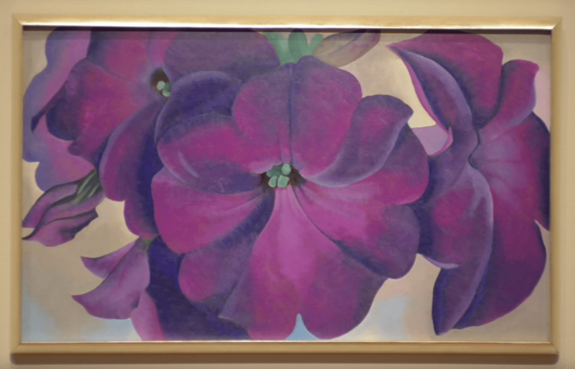Petunias, 1924 by Georgia OKeeffe