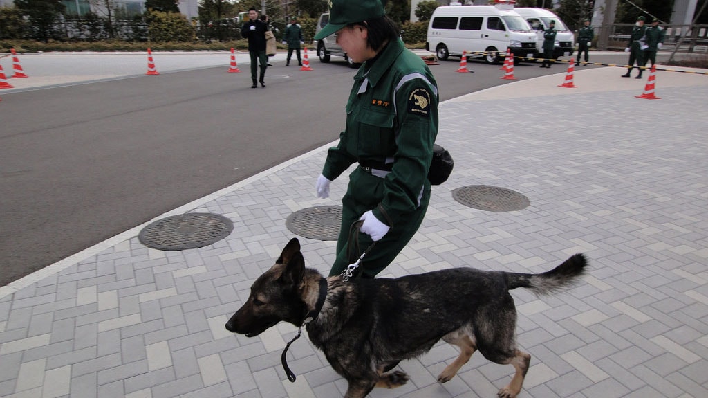 "Police Dog" by Dick Thomas Johnson licensed under CC BY 2.0