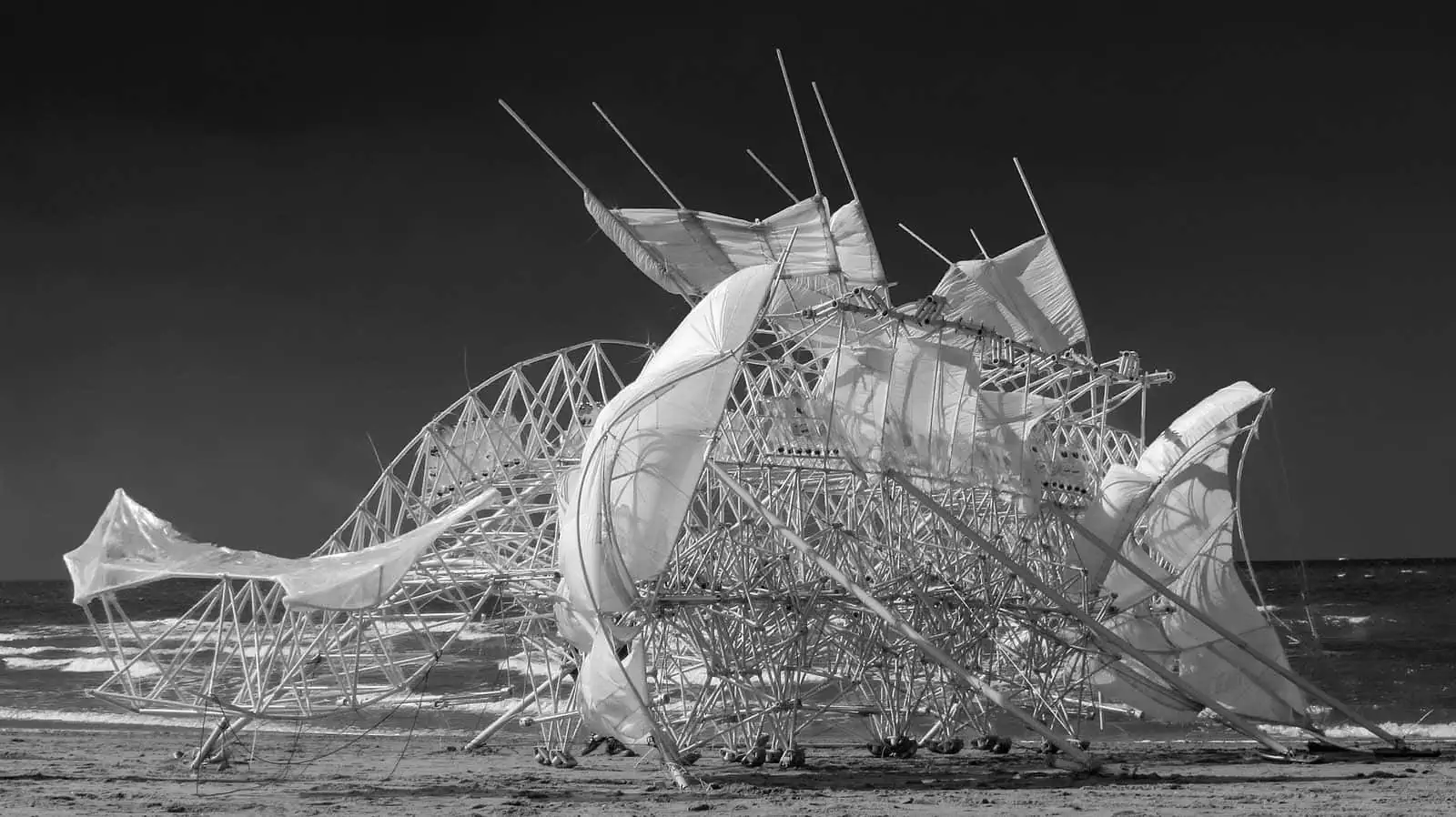 "Beach Beast"" by Robbert van den Beld licensed under CC BY 2.0