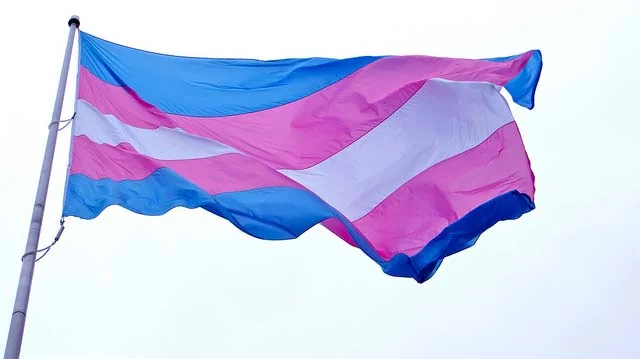 "the transgender flag: harvey milk plaza, castro, san francisco (2012)" by torbakhopper licensed under CC BY 2.0