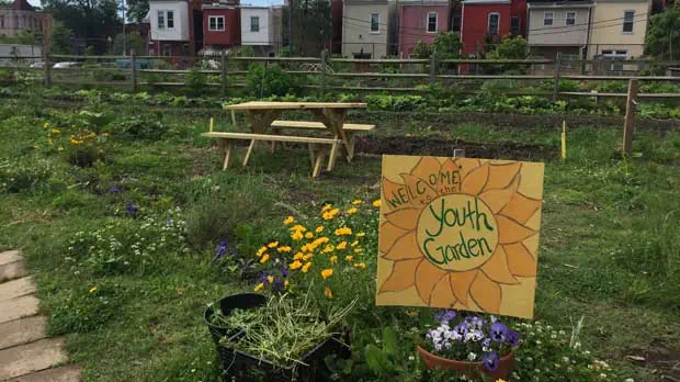 "Youth Garden at Common Good City Farm" Photo courtesy of Common Good City Farm