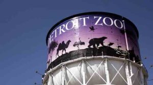 "The Detroit Zoo" by Kate Renkes licensed under CC BY 2.0