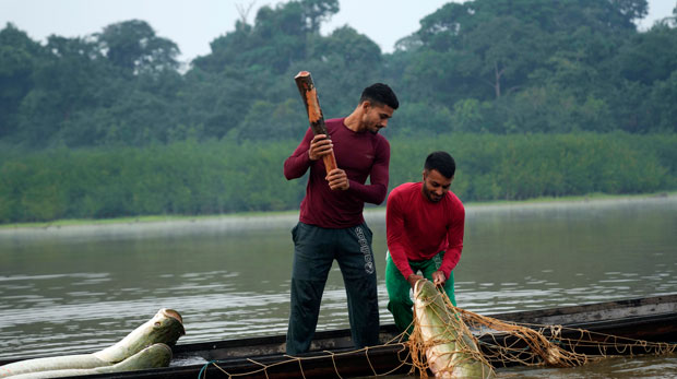 Fishermen brothers Gibson, right, and Manuel Cunha Da Lima raise a pirarucu fish from a lake in San Raimundo settlement, at Medio Jurua region, Amazonia State, Brazil, Monday, Sept. 5, 2022. When the fishers catch one, they haul in the net and club the fish in the head. Then they put it in their small boat. When it's very heavy, two or three men are required to do the job. (AP Photo/Jorge Saenz)