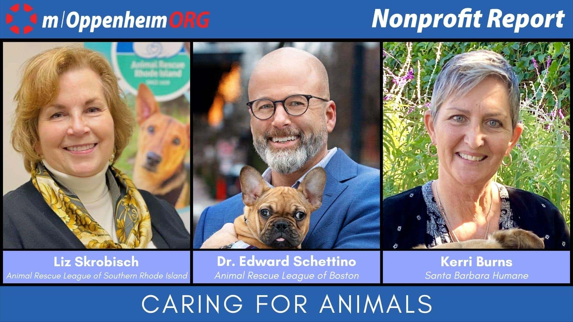 animal-welfare-and-safety-nonprofit-report-m-oppenheim-tv